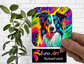 Coaster - Border Collie Dog 38