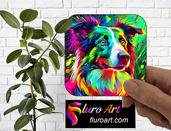 Coaster - Border Collie Dog 39